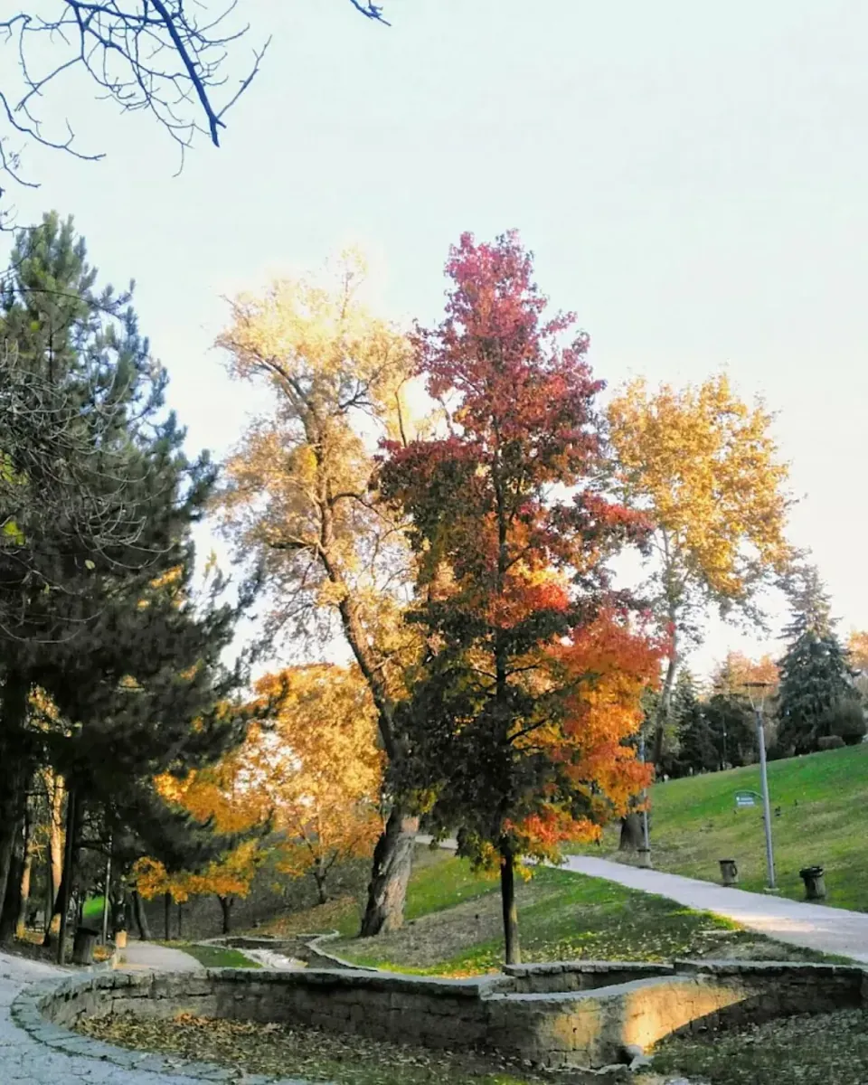 Parc Seğmenler (Animaux acceptés) – Çankaya - Ankara