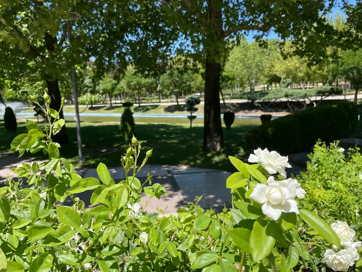 Altınpark (Animaux acceptés) – Aydınlıkevler - Ankara