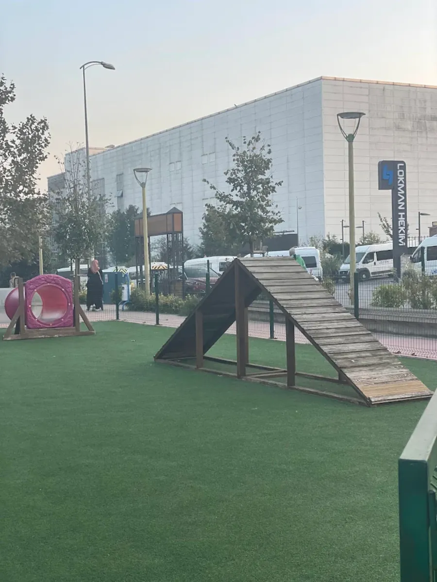 Dost Patiler Köpek Eğitim ve Oyun Parkı – Bodrum - Muğla