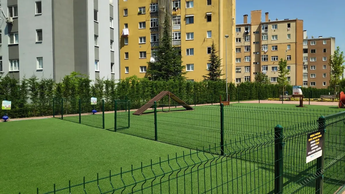 Dost Patiler Köpek Eğitim ve Oyun Parkı – Bodrum - Muğla