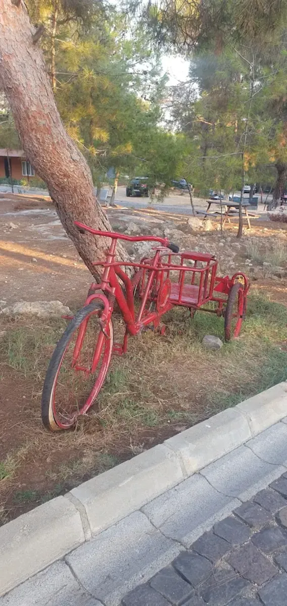Parc naturel Kuyuluk (Animaux acceptés) – Mezitli - Mersin
