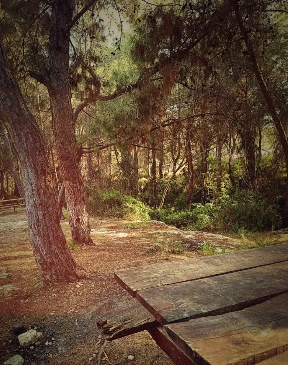 Parc naturel Kuyuluk (Animaux acceptés) – Mezitli - Mersin