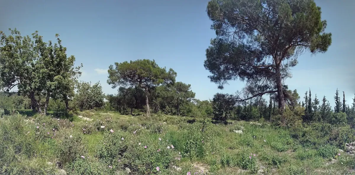 Parc naturel Kuyuluk (Animaux acceptés) – Mezitli - Mersin