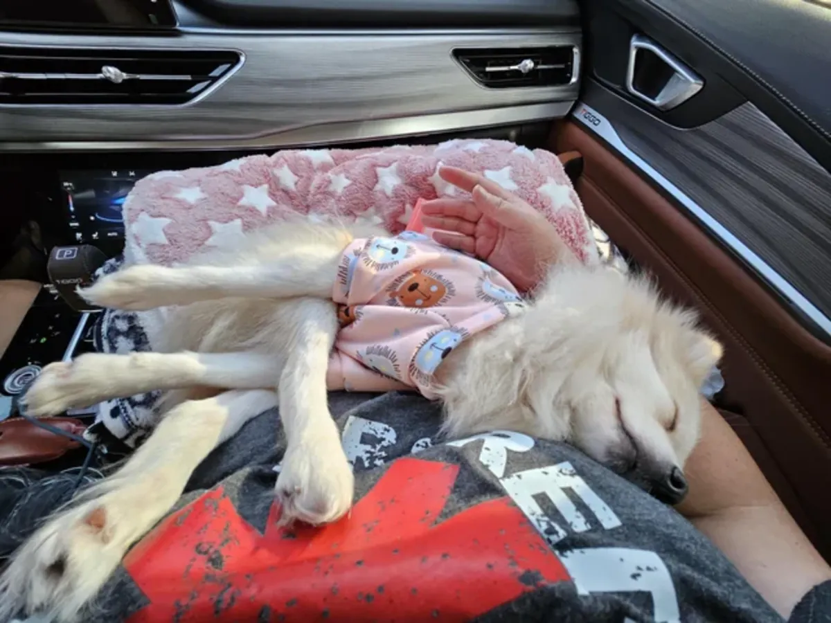 Benim için kolay değil, ama devam edemem.