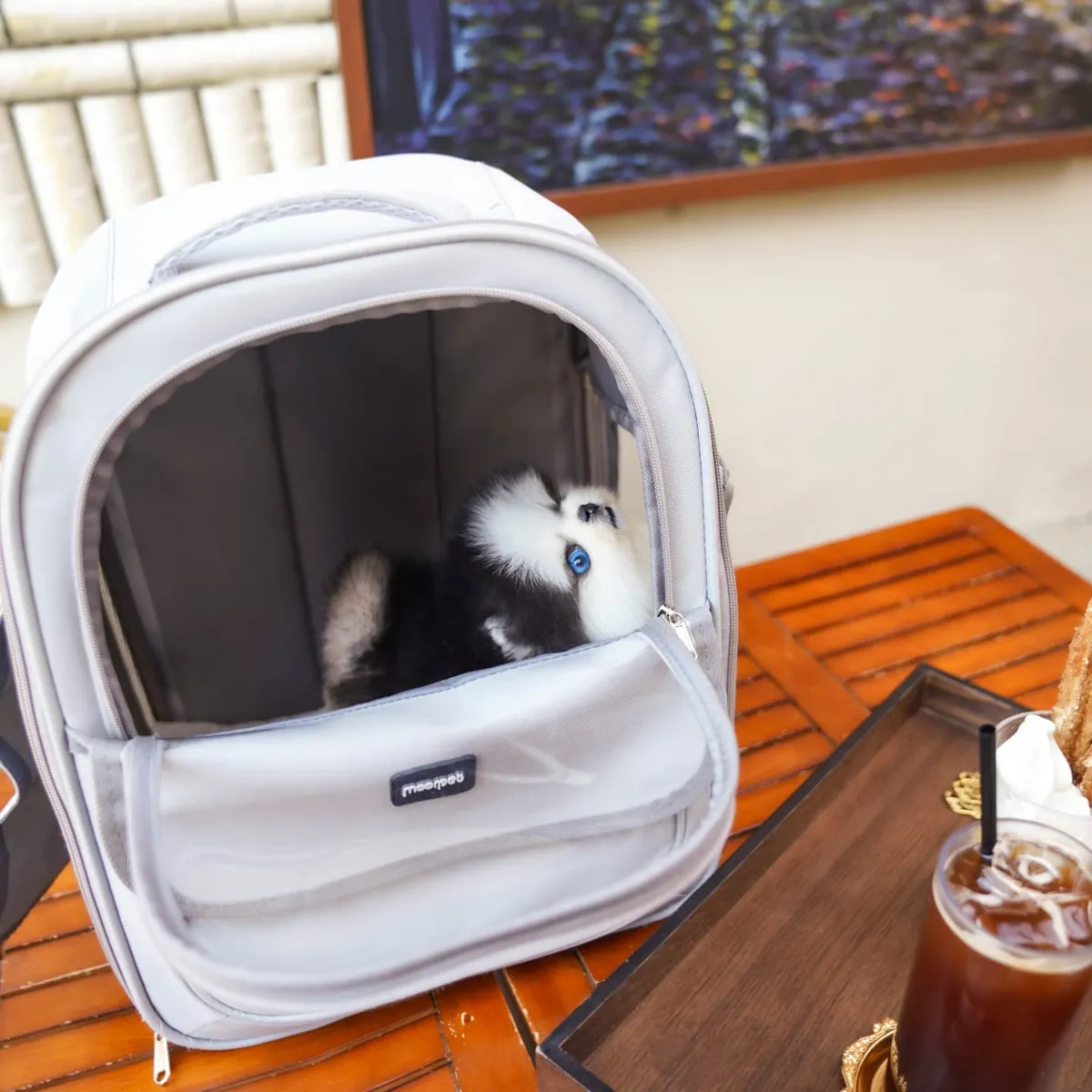 🐶❤️ Очаровательный Пухлый Рыжий Щенок Померанца – Носа