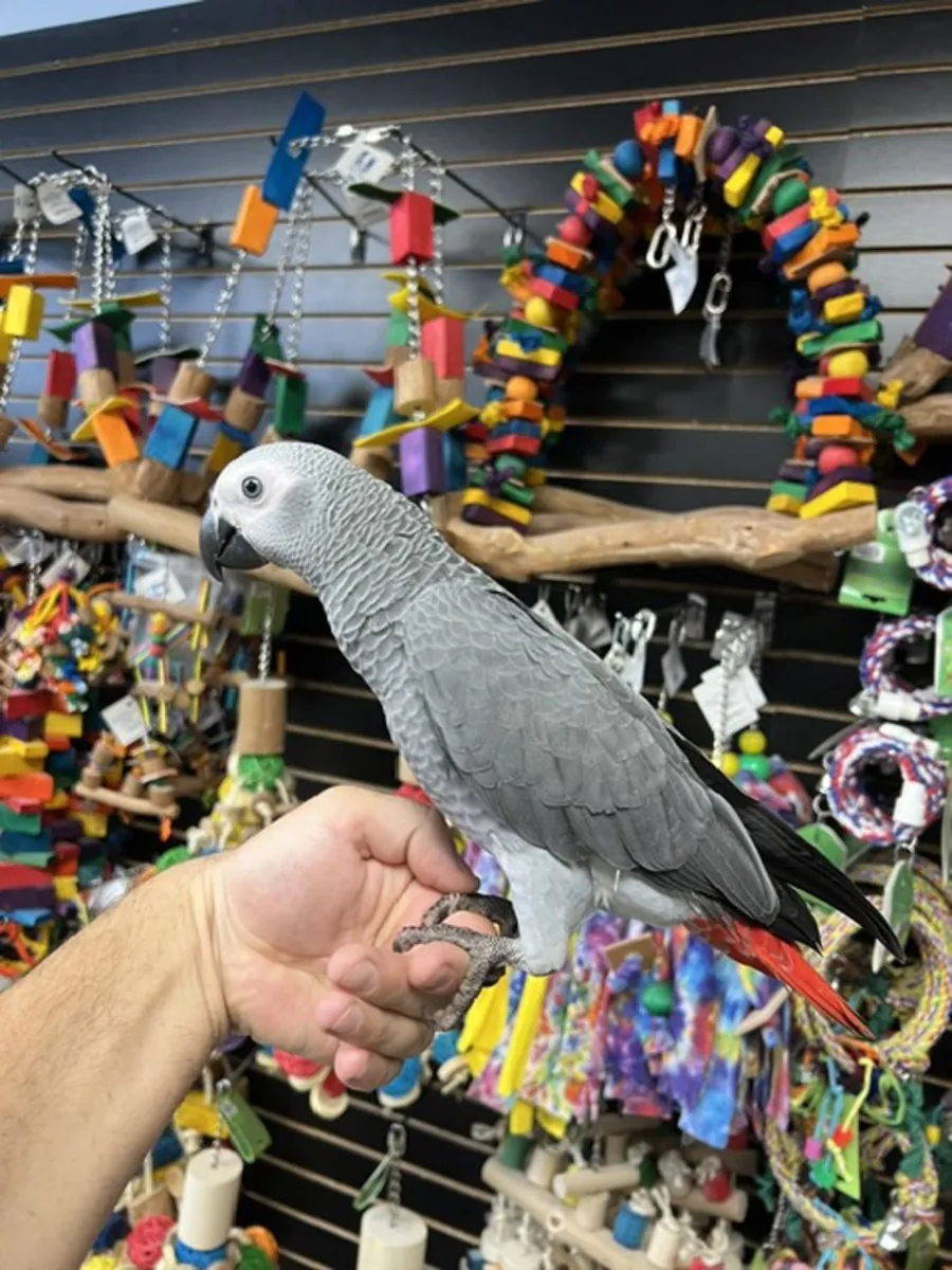 Loro