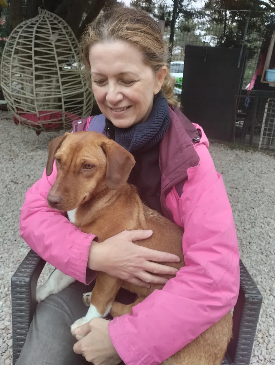 Buscamos una familia cariñosa para nuestra cachorrita de un año, parecida a una salchicha. Es muy afectuosa y bastante sociable.