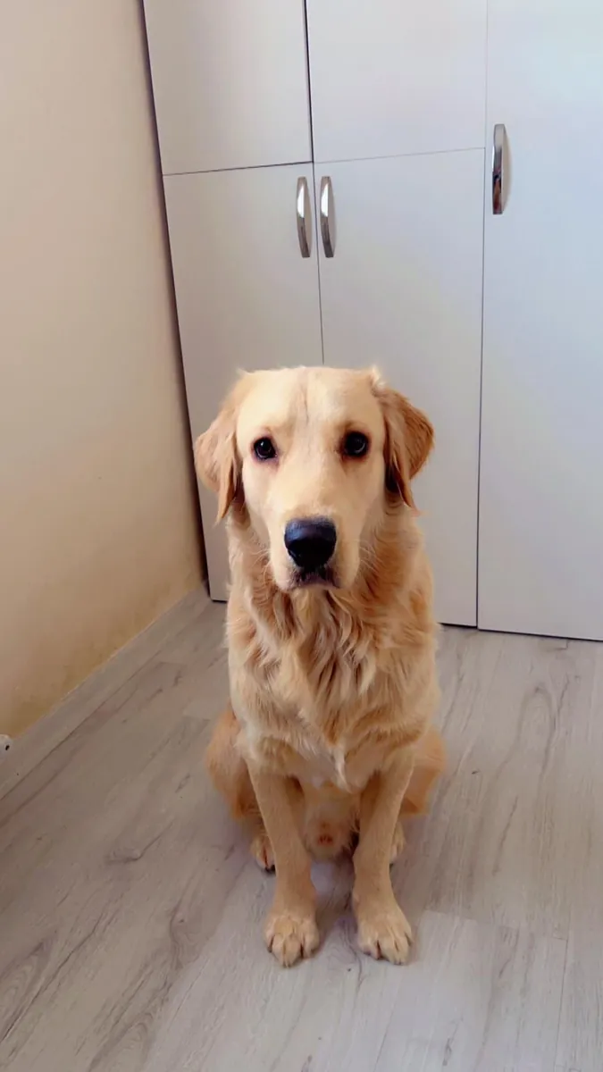 Sevimli,oyuncu, akıllı yakışıklı oğlumuz