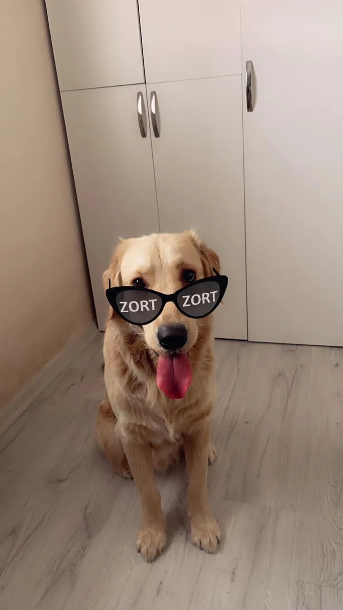 Sevimli,oyuncu, akıllı yakışıklı oğlumuz