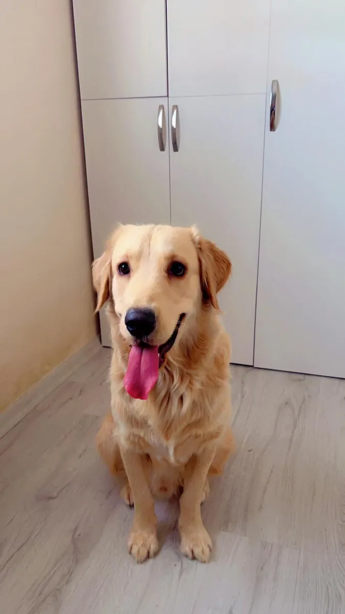 Sevimli,oyuncu, akıllı yakışıklı oğlumuz