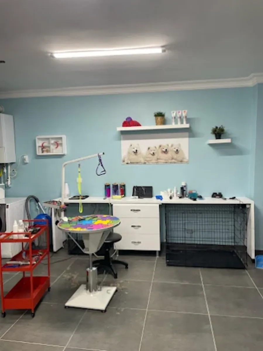 Peluquería, baño y peinado profesional para mascotas – Patiş Grooming Pet Grooming & Pet Shop - İstanbul