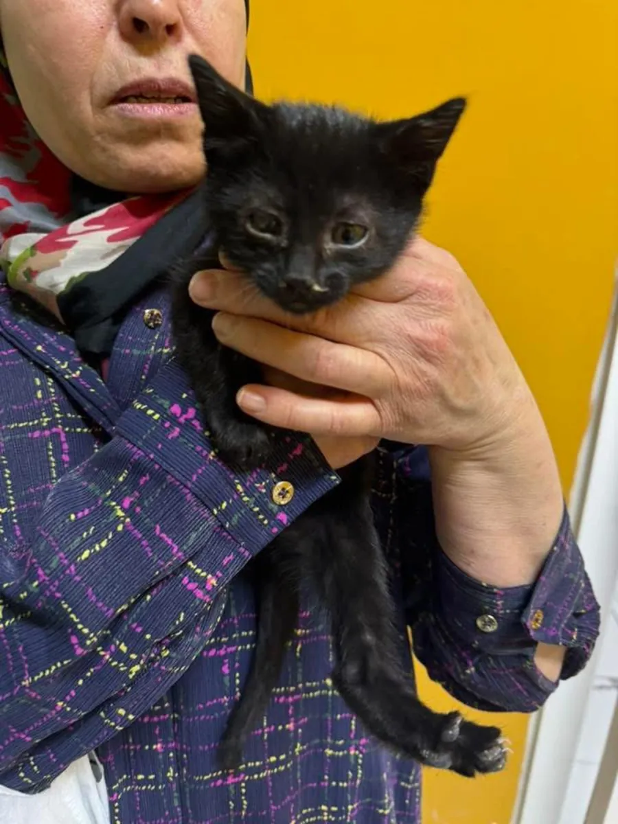 Un foyer pour le petit.