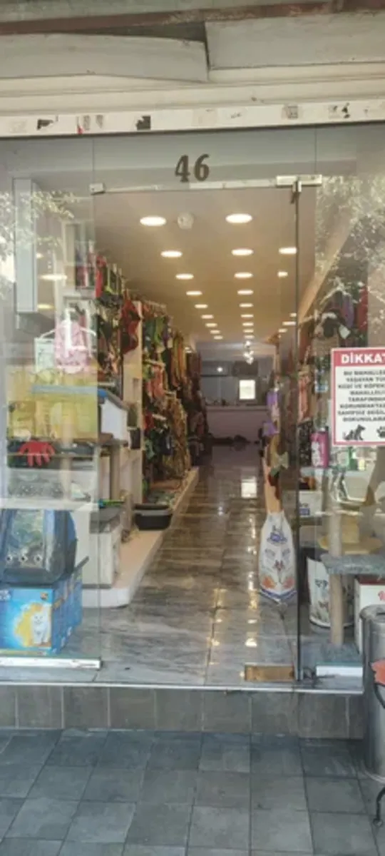 Servicio profesional de peluquería y spa para mascotas: The Pet Grooming Pet Shop - İstanbul