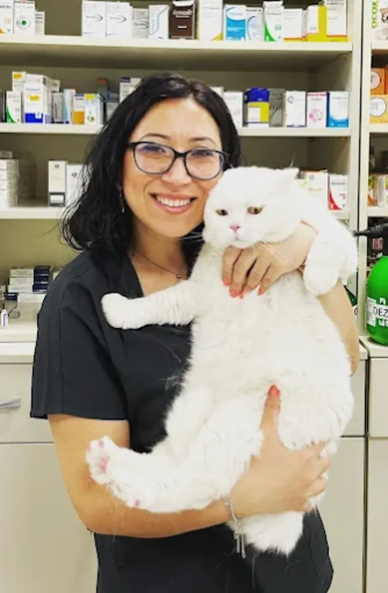 Clínica Veterinaria Ataşehir 7/24 – Servicios Veterinarios de Urgencia y Cuidados Intensivos - İstanbul