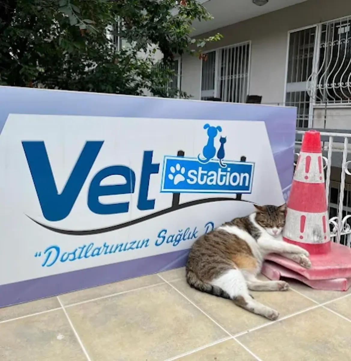 Clínica Veterinaria Vet Station: Servicios Veterinarios para Bebés, Urgencias y Rutinas - İstanbul