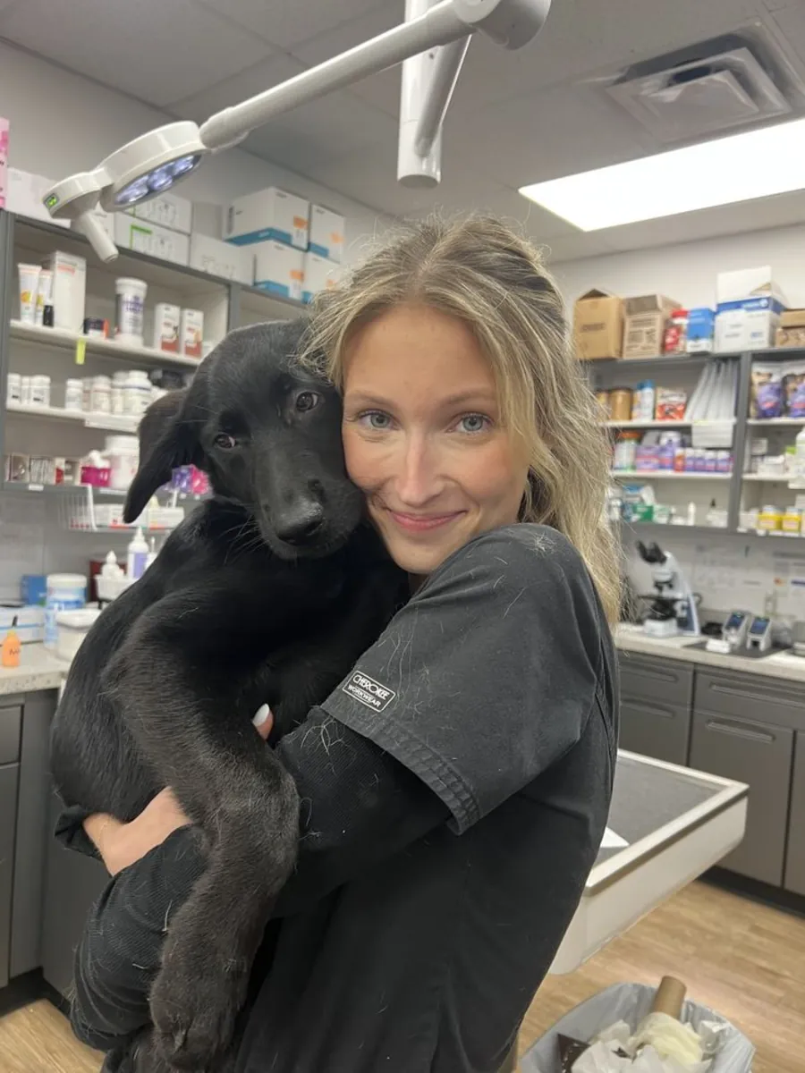 Clínica Veterinaria Vet Station: Servicios Veterinarios para Bebés, Urgencias y Rutinas - İstanbul