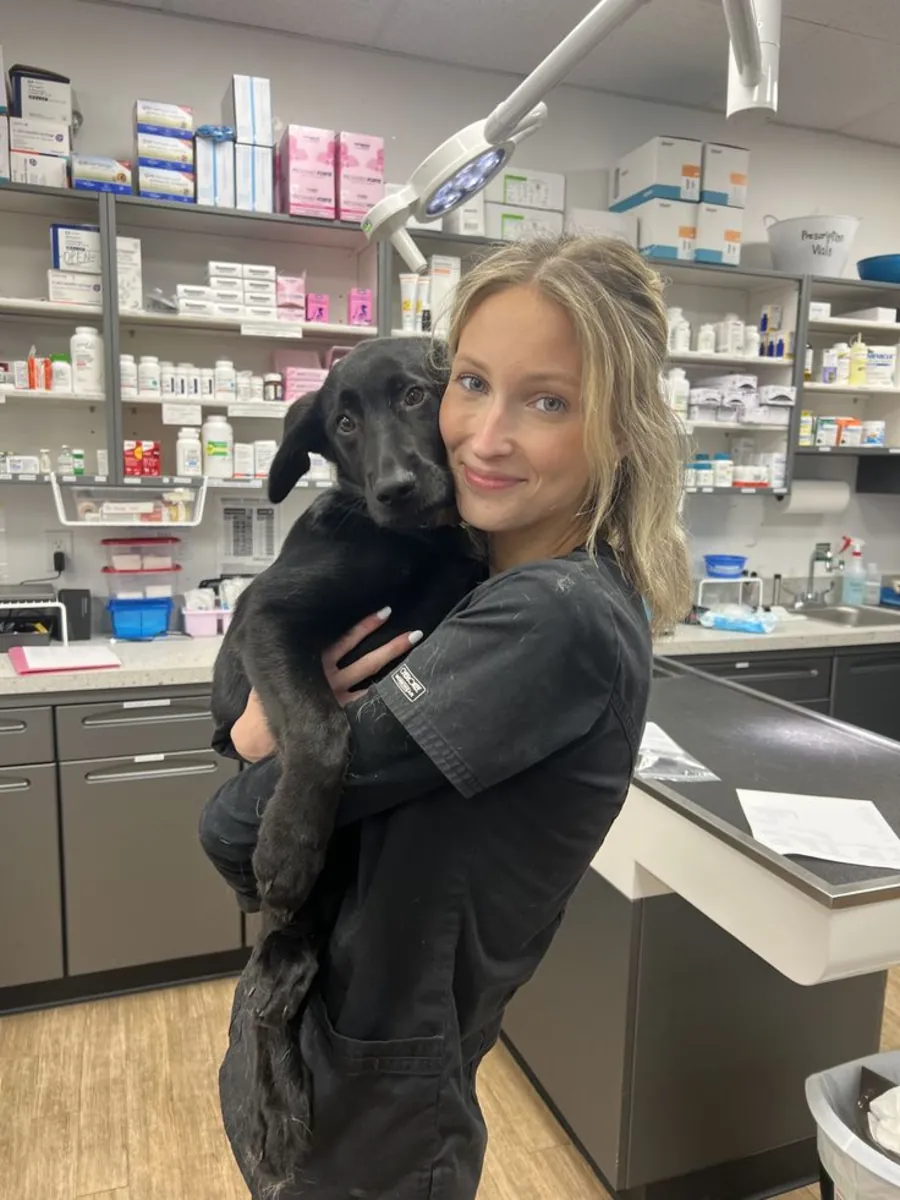 Clínica Veterinaria Vet Station: Servicios Veterinarios para Bebés, Urgencias y Rutinas - İstanbul