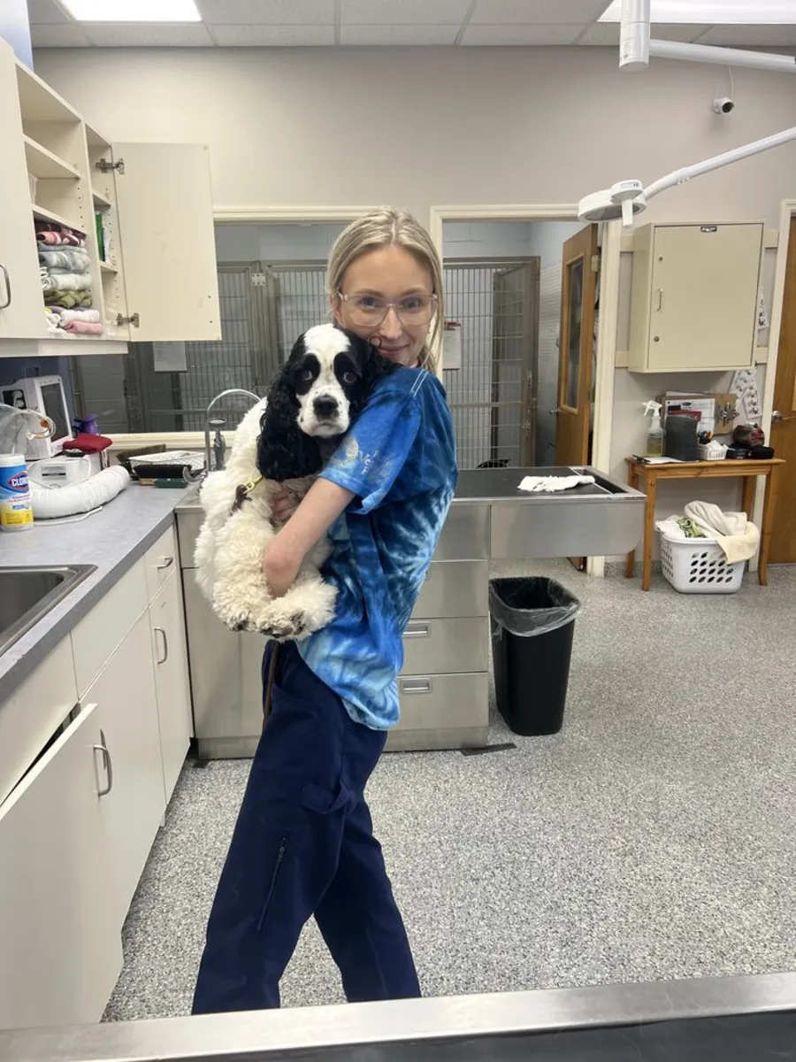 Clínica Veterinaria Vet Station: Servicios Veterinarios para Bebés, Urgencias y Rutinas - İstanbul