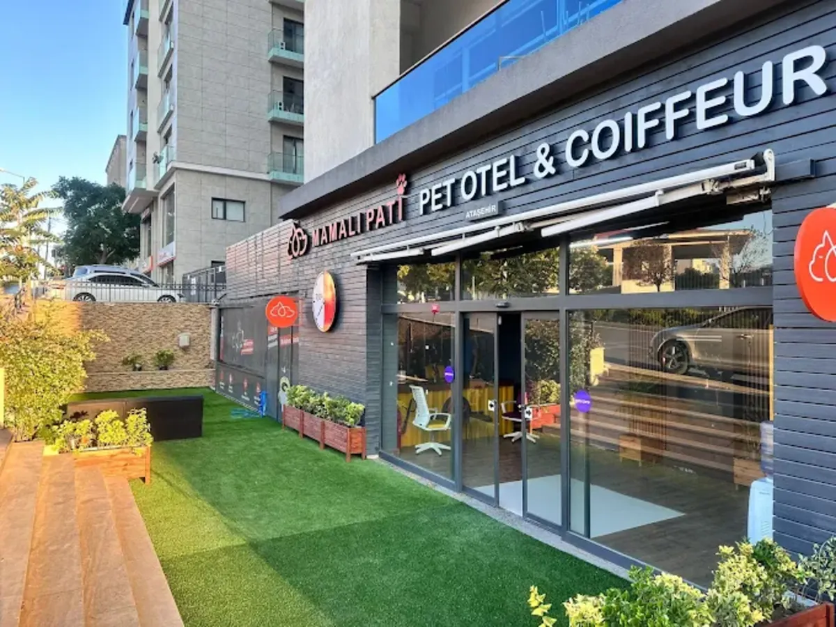 Mamalı Pati Pet Hotel & Grooming – Ümraniye / Servicios de aseo, hotel y guardería - İstanbul