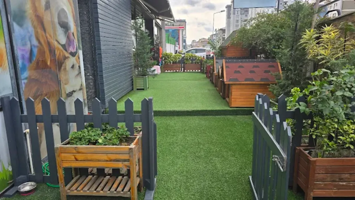 Mamalı Pati Pet Hotel & Grooming – Ümraniye / Servicios de aseo, hotel y guardería - İstanbul