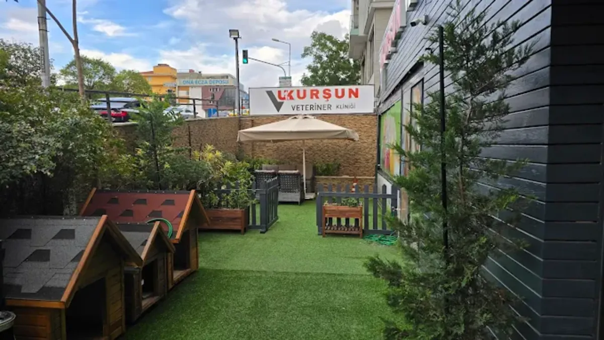 Mamalı Pati Pet Hotel & Grooming – Ümraniye / Servicios de aseo, hotel y guardería - İstanbul