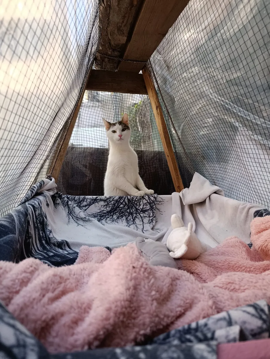 Nous cherchons une maison.