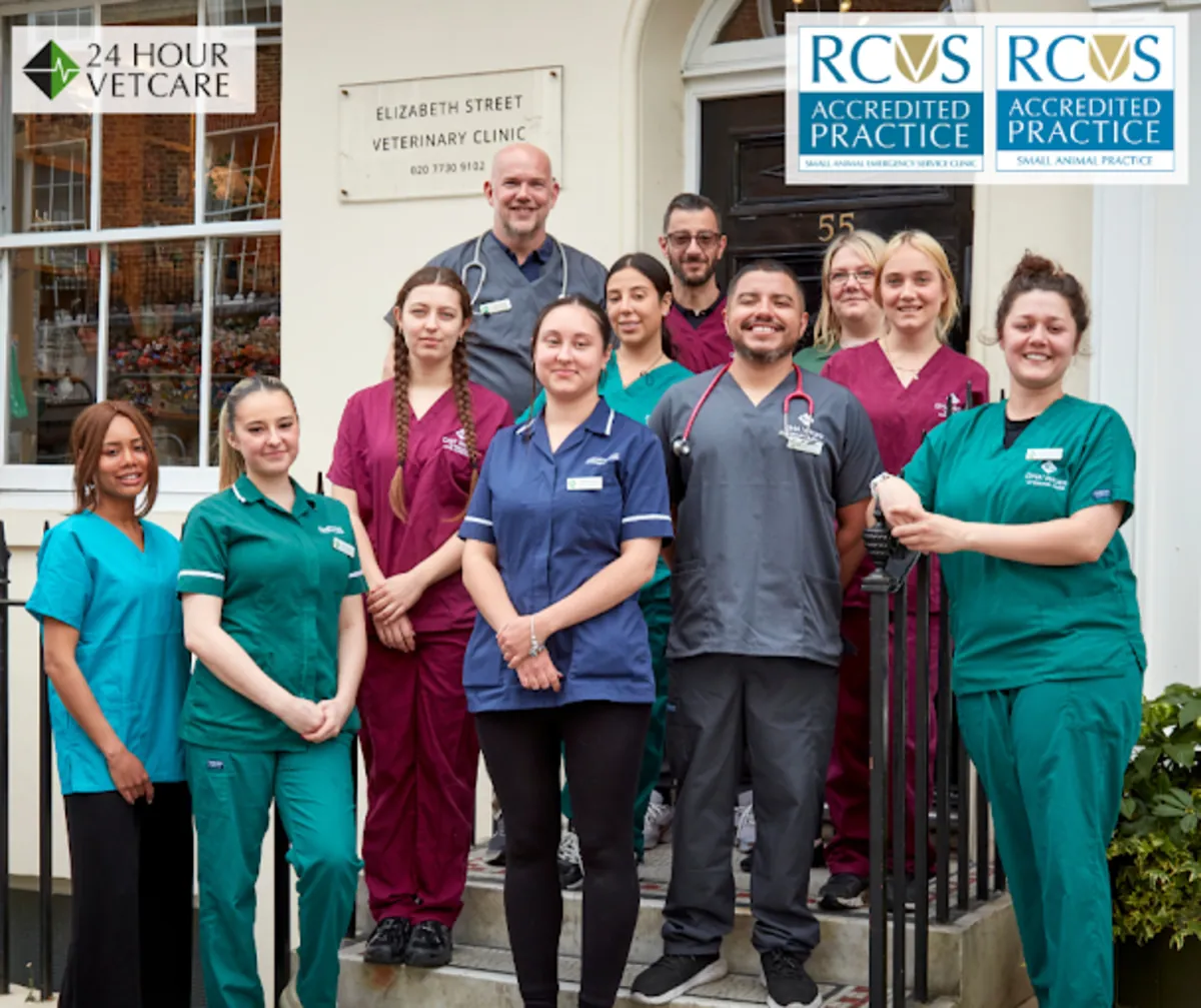 Urgencias veterinarias 24/7 en el centro de Londres (Belgravia) – Clínica Veterinaria Elizabeth Street - London