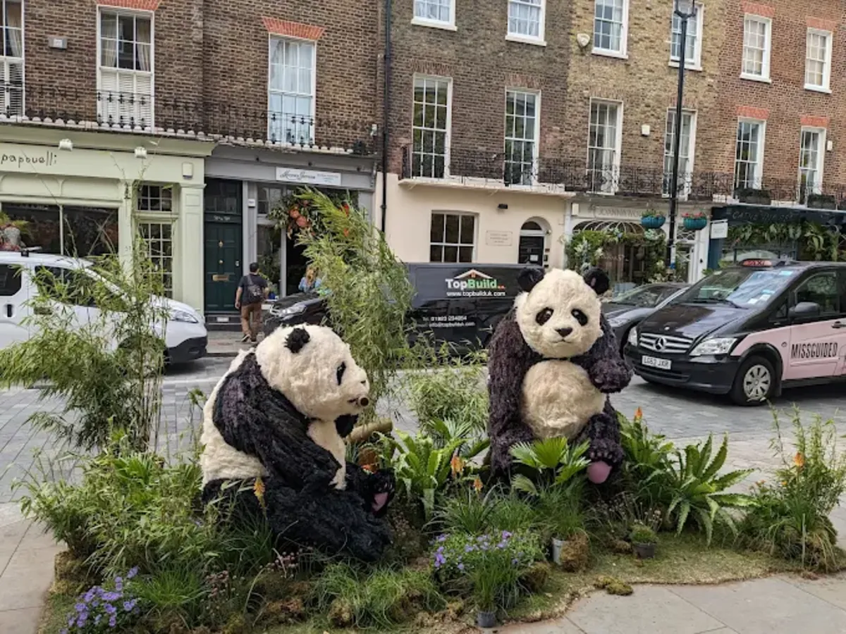 Urgencias veterinarias 24/7 en el centro de Londres (Belgravia) – Clínica Veterinaria Elizabeth Street - London