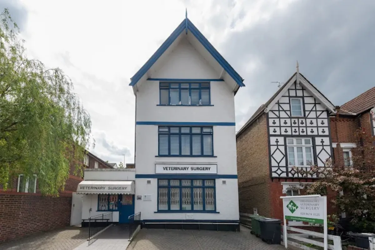 Urgencias veterinarias 24/7 en el sur de Londres – Streatham Hill Vets - London
