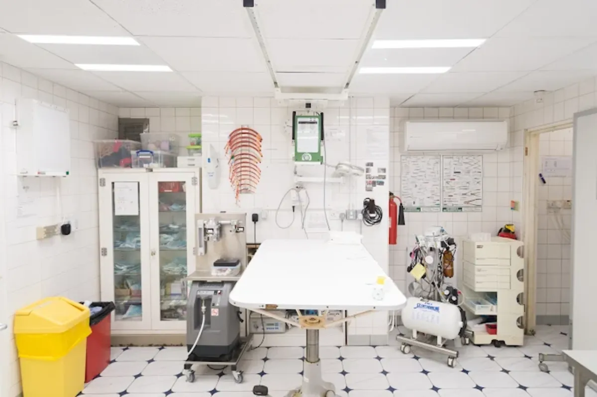 Urgencias veterinarias 24/7 en el sur de Londres – Streatham Hill Vets - London