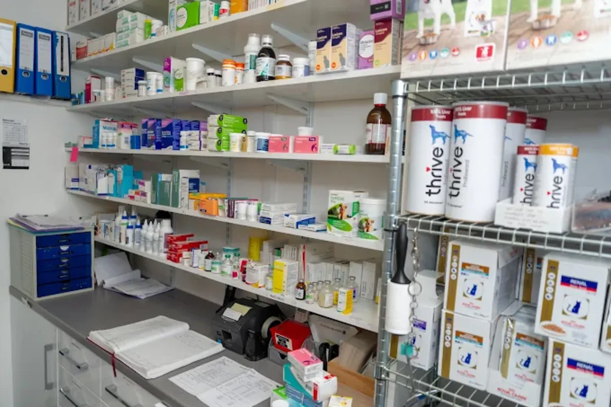 Urgencias veterinarias 24/7 en el sur de Londres – Streatham Hill Vets - London