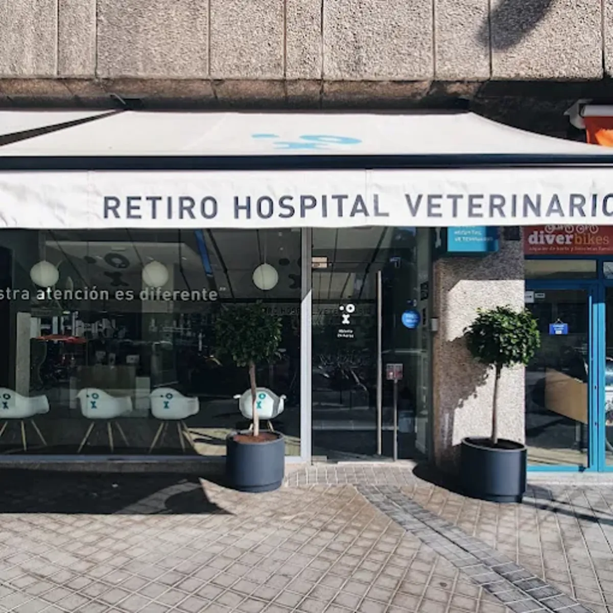 24-hour Veterinary Emergency Services in Madrid – Retiro Veterinary Hospital - Madrid