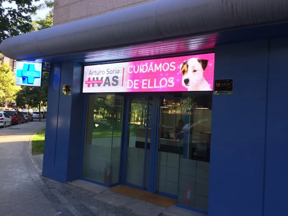 马德里24小时急诊兽医医院 – 阿图罗·索里亚 - Madrid
