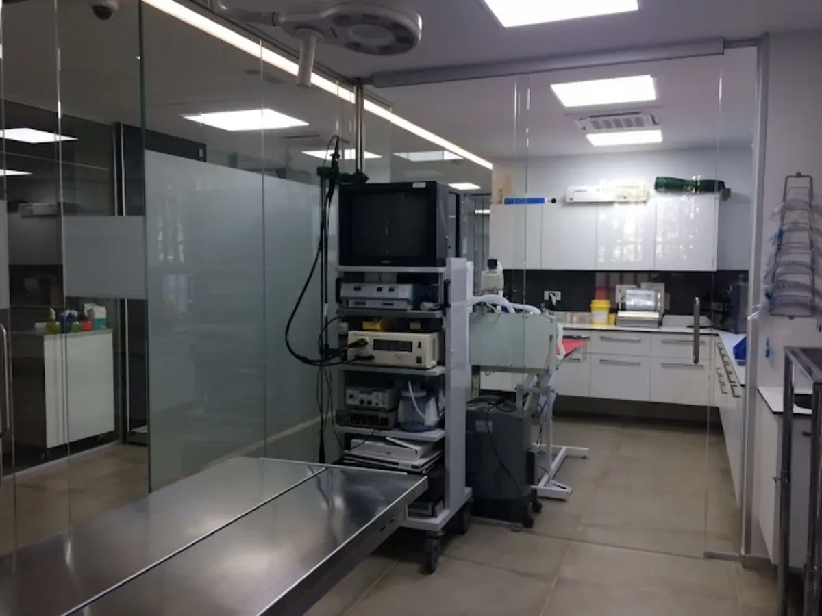 马德里24小时急诊兽医医院 – 阿图罗·索里亚 - Madrid