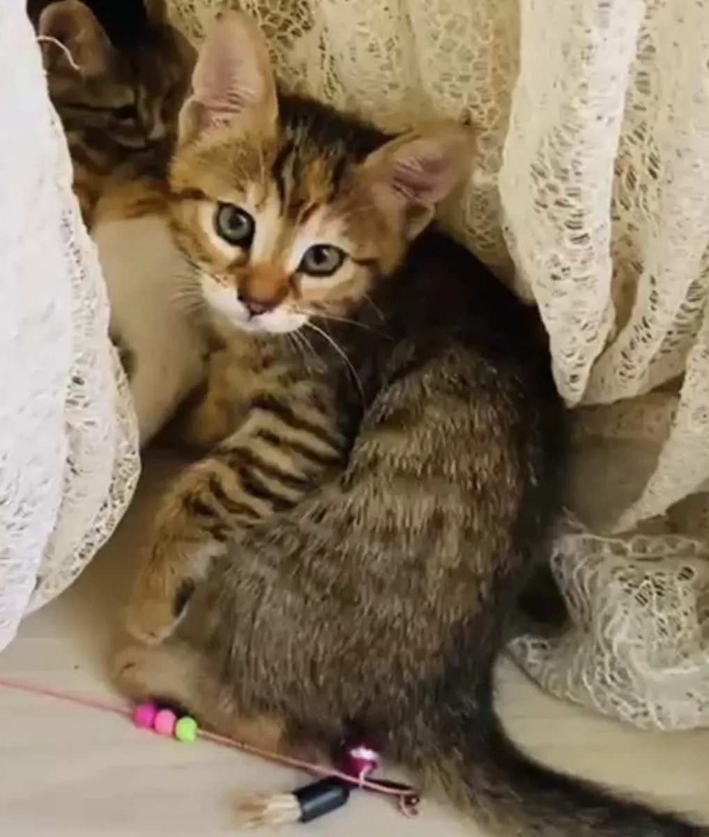 CUTE PRINCESS