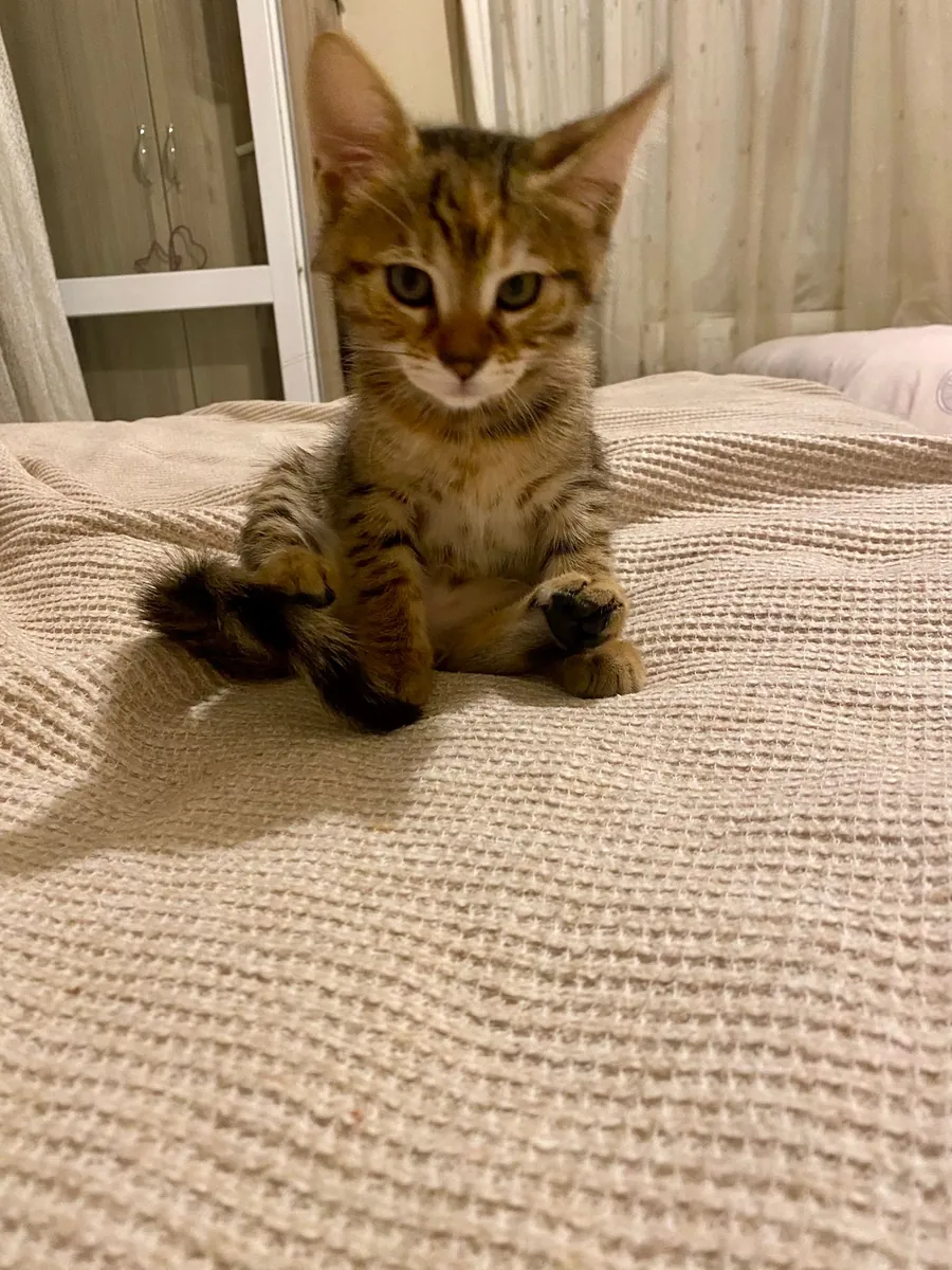 CUTE PRINCESS