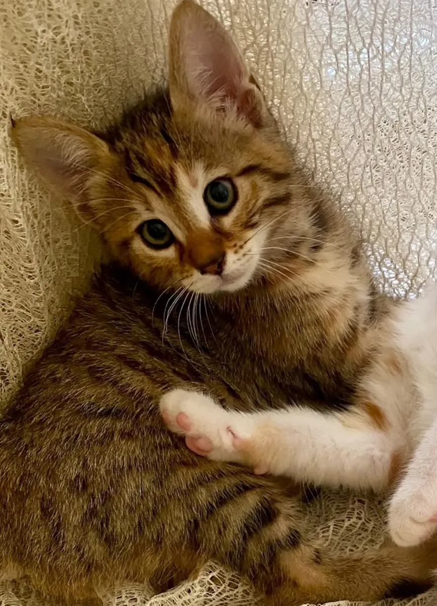 CUTE PRINCESS