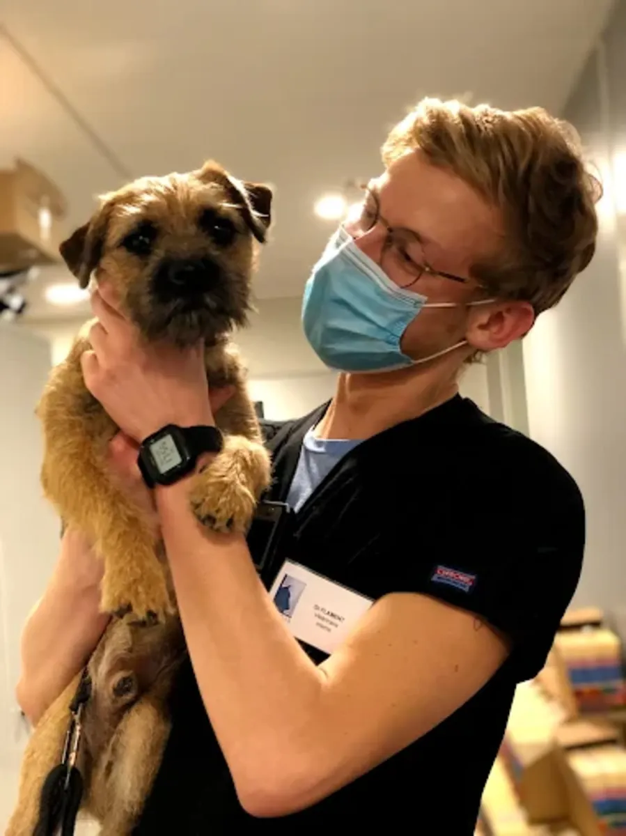 Clinique Vétérinaire d’Urgence 24h à Paris 11 – VETINPARIS - Paris