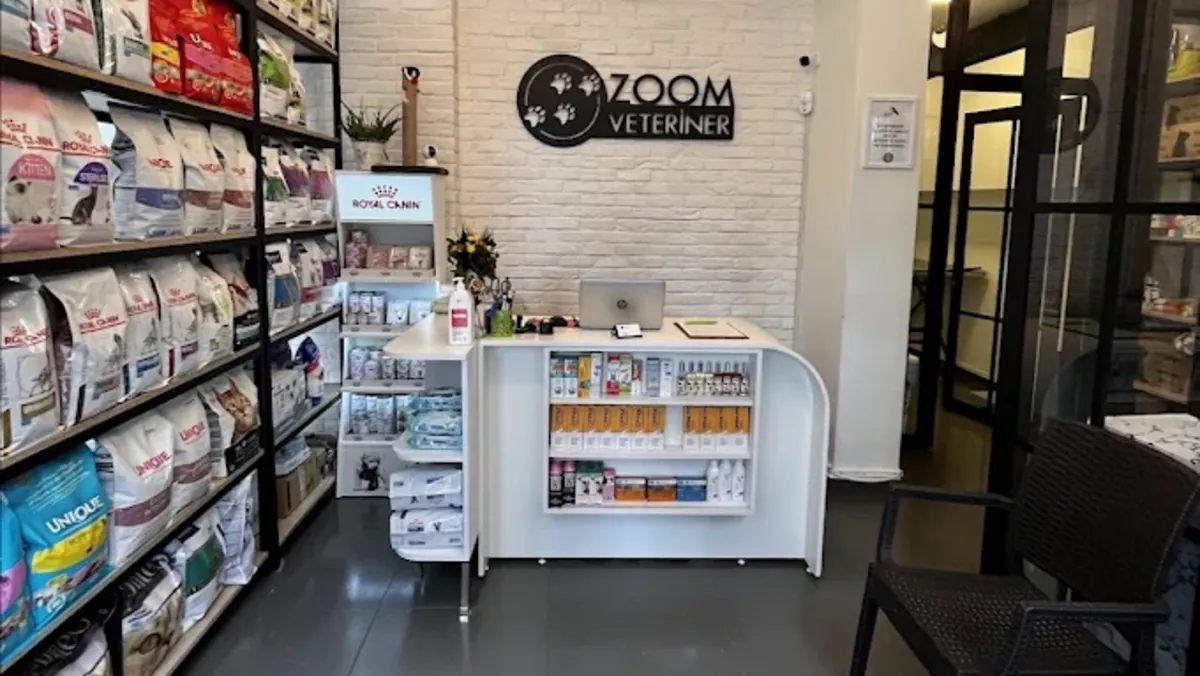 Zoom 兽医家庭护理 – 伊斯坦布尔 Kadıköy / Erenköy 家访 - İstanbul