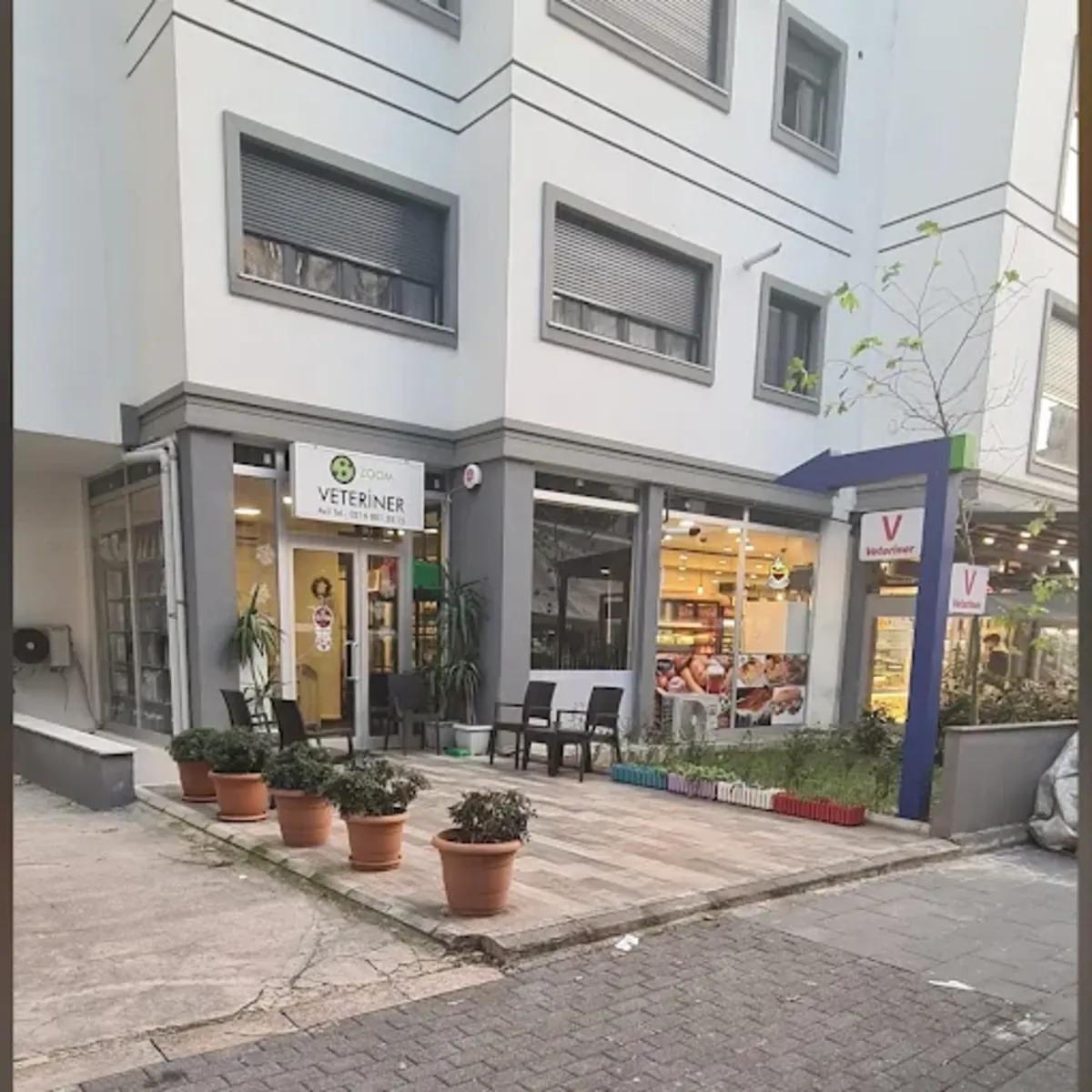 Zoom 兽医家庭护理 – 伊斯坦布尔 Kadıköy / Erenköy 家访 - İstanbul