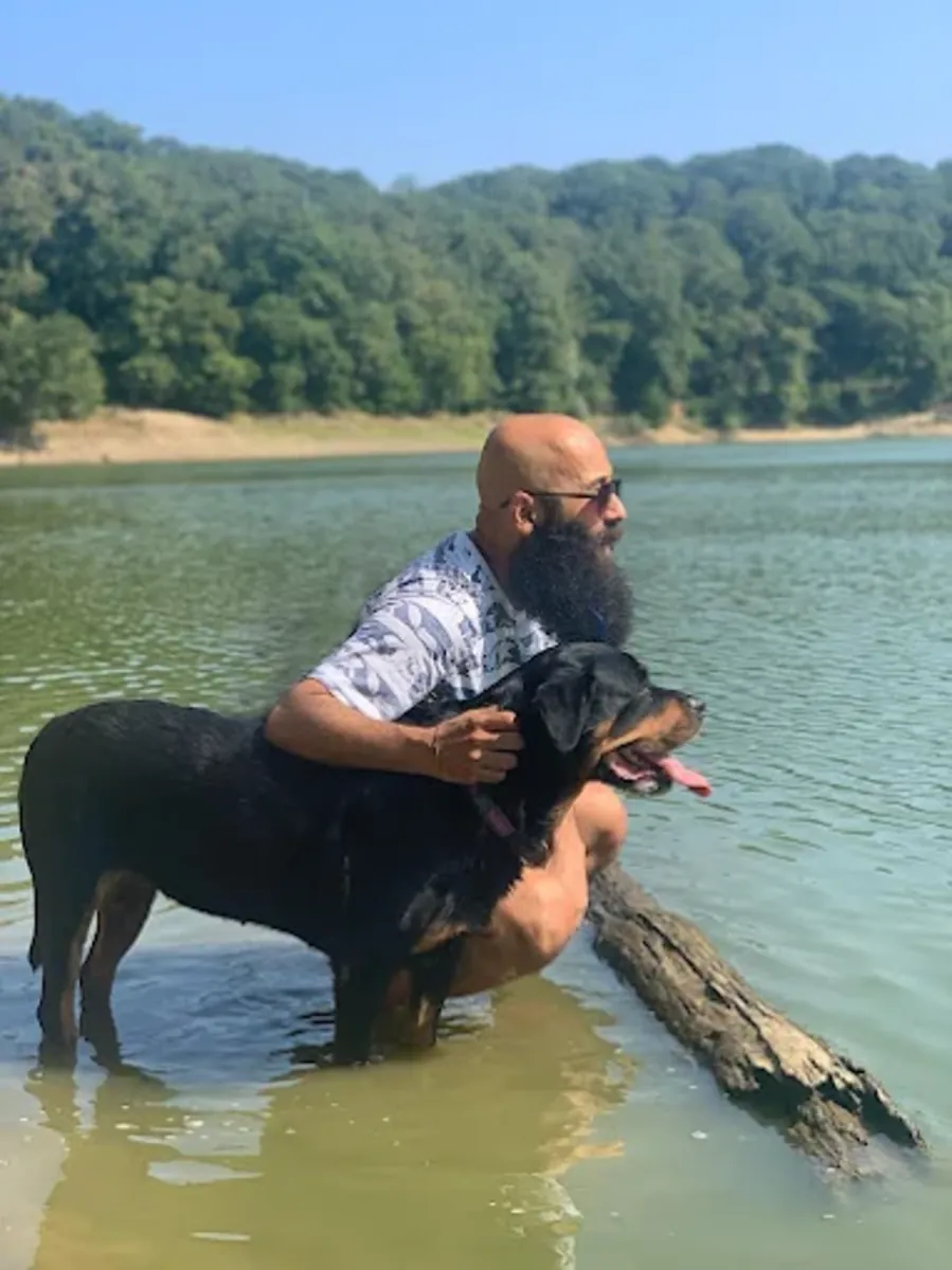 Dressage canin professionnel à Istanbul – Canis Academy (Dressage à domicile et sur le terrain) - İstanbul