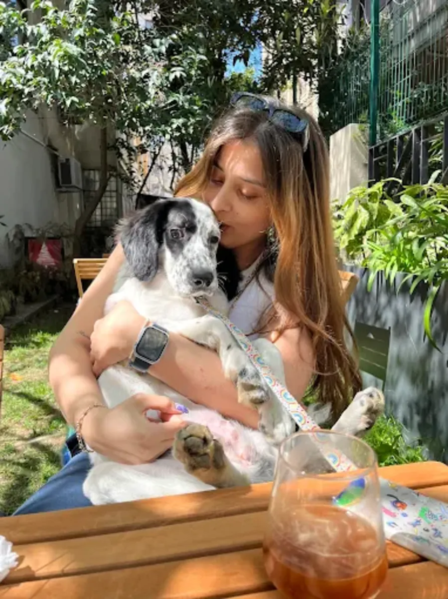 Dressage canin professionnel à Istanbul – Canis Academy (Dressage à domicile et sur le terrain) - İstanbul