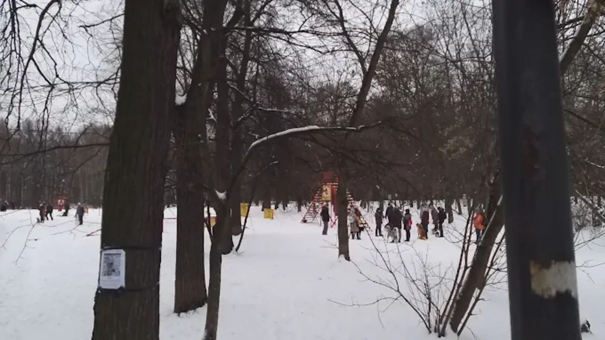 Moskova'da profesyonel köpek eğitimi – Sokolniki Köpek Merkezi - Moscow