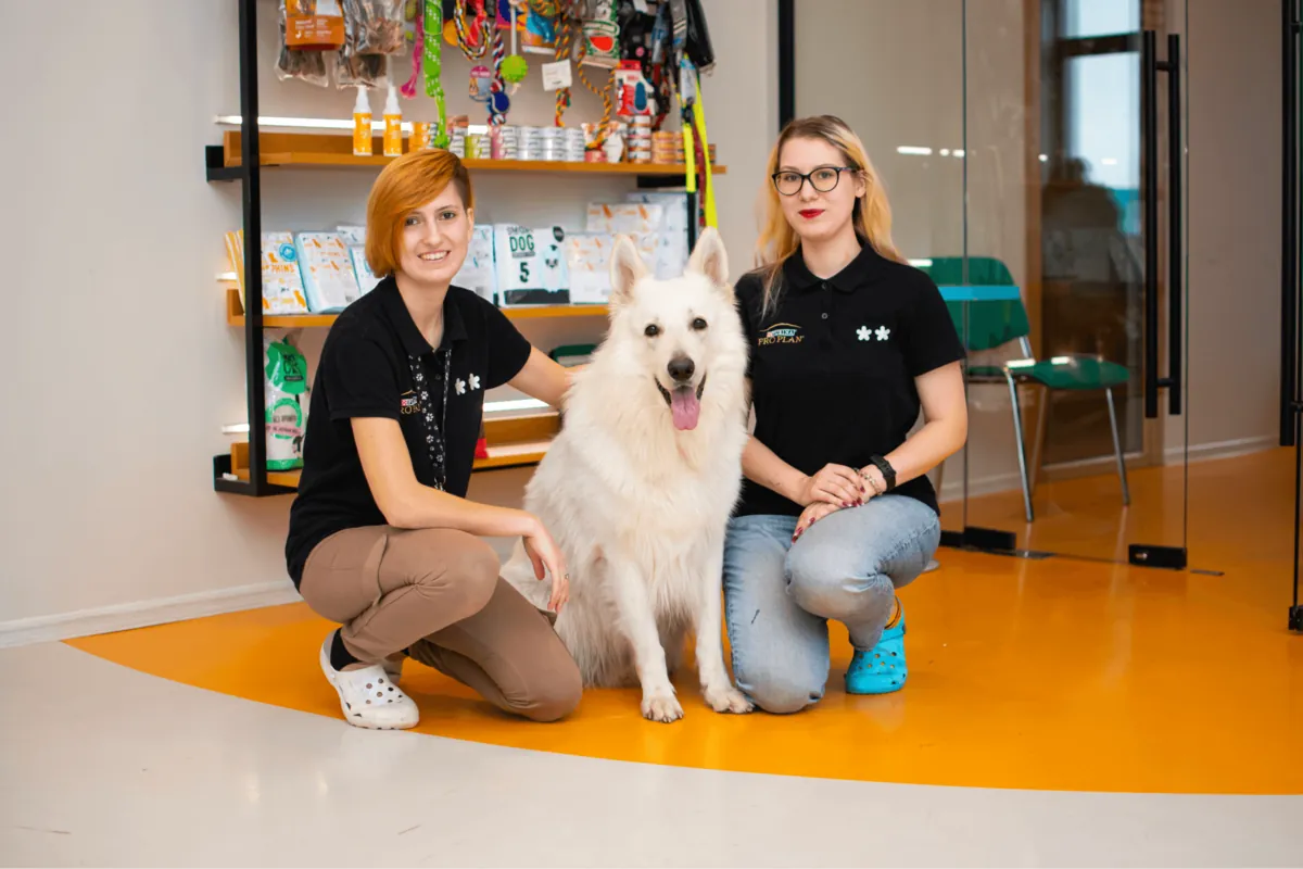 PetHome Hotel & Boarding, a pet hotel for dogs and cats in Moscow - Moscow