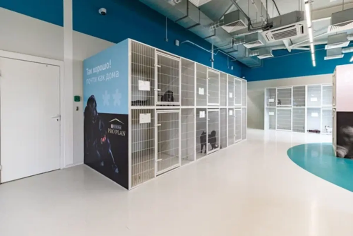 PetHome Hotel & Boarding, a pet hotel for dogs and cats in Moscow - Moscow