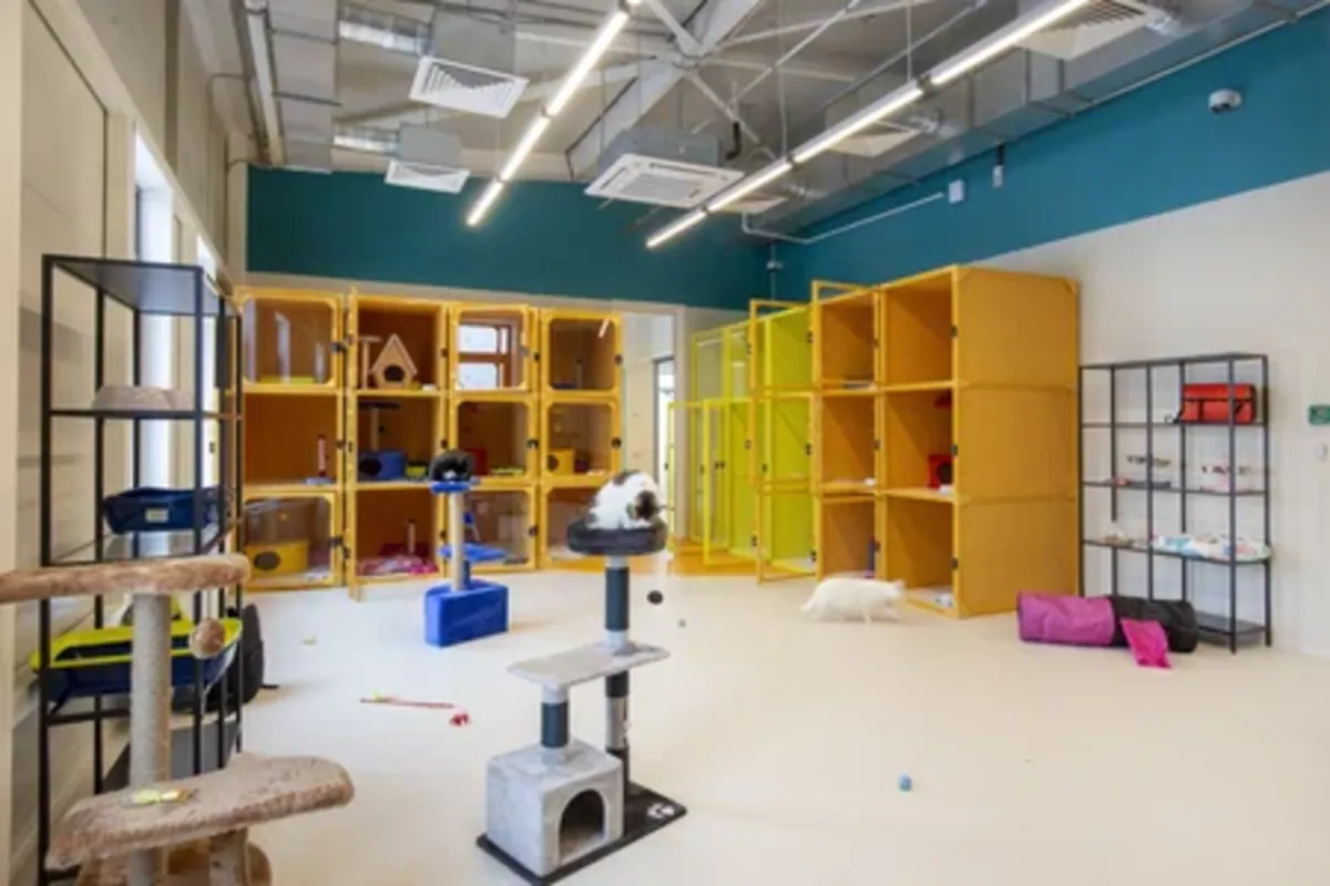 PetHome Hotel & Boarding, a pet hotel for dogs and cats in Moscow - Moscow