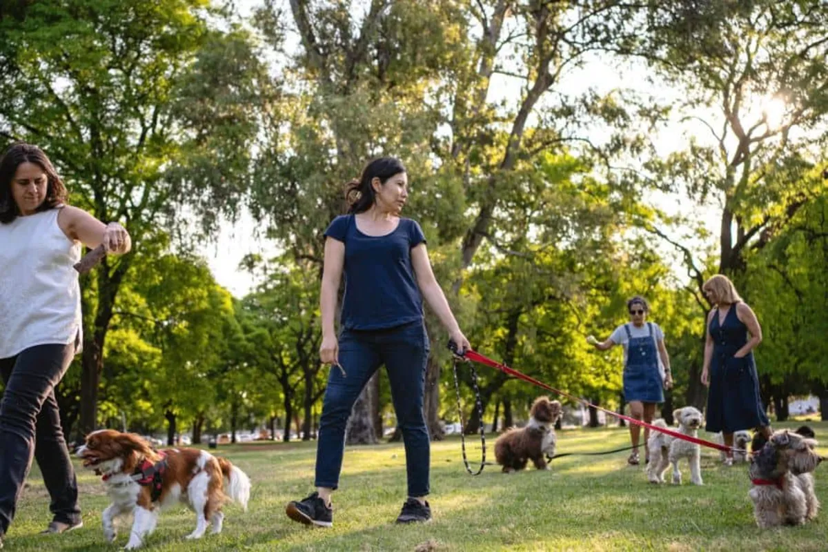 Réunion des propriétaires d'animaux de compagnie d'Istanbul 2025