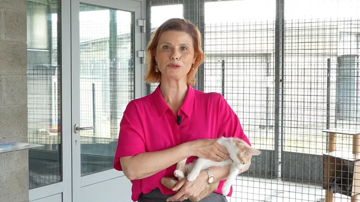 Guide juridique essentiel pour les propriétaires d'animaux de compagnie