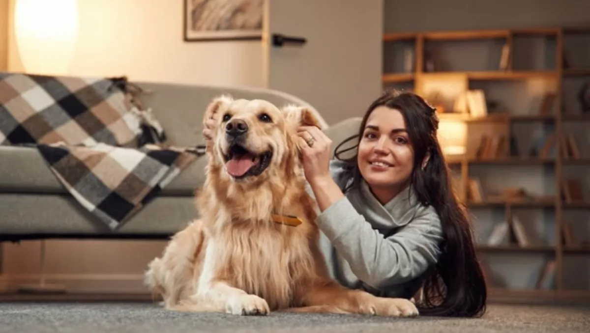 Guía de adiestramiento y comportamiento canino: de básico a avanzado