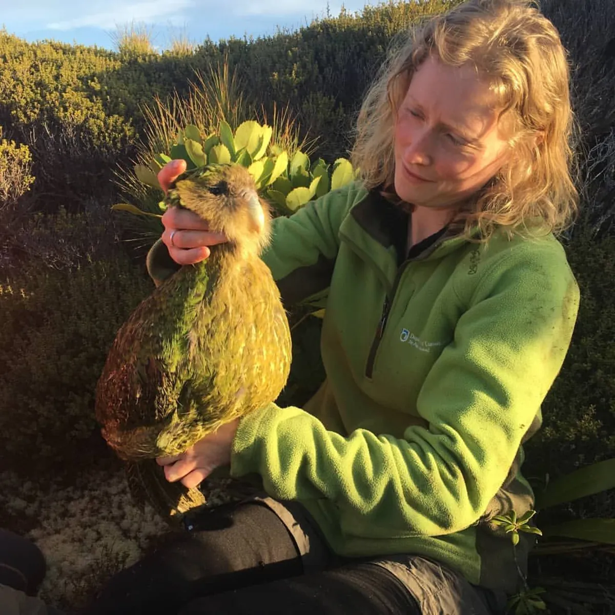 Rescue Bird Seeking Calm Home | Free Adoption | Patient Owner Needed